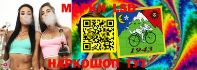 МДПВ Кингисепп