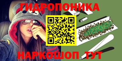 ECSTASY Кимры