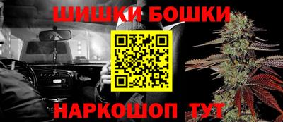 МДПВ Кингисепп