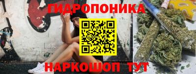 МДПВ Кингисепп
