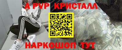 МДПВ Кингисепп