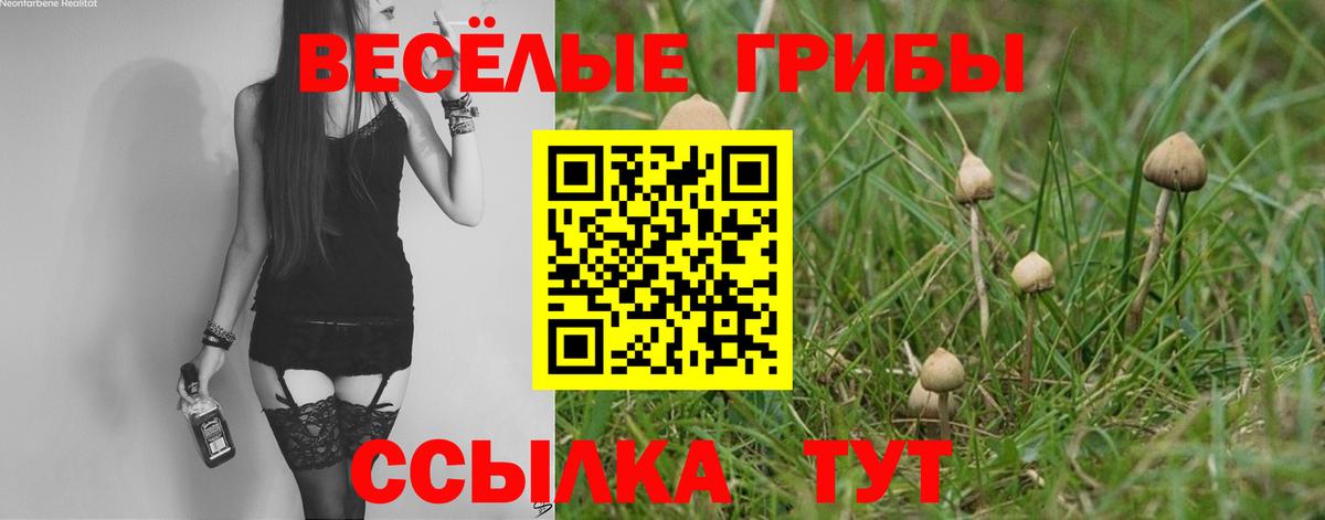 Галлюциногенные грибы GOLDEN TEACHER  Галлюциногенные грибы прущие грибы  Котлас 