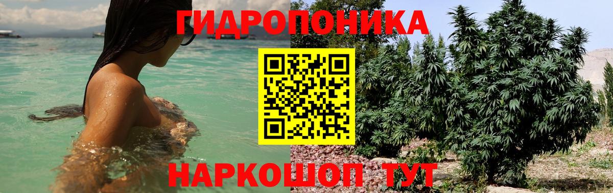 Бошки Шишки SATIVA & INDICA  Бошки Шишки ГИДРОПОН  Бошки марихуана SATIVA & INDICA  Котлас  МАРИХУАНА Ganja 